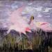 Roseate Spoonbills, study for book Concealing Coloration in the Animal Kingdom